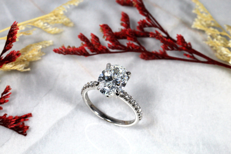 Oval Diamond Solitaire with Pavé in Platinum Kris Averi 