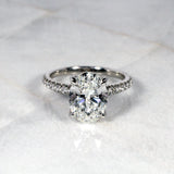 Oval Diamond Solitaire with Pavé in Platinum Kris Averi 